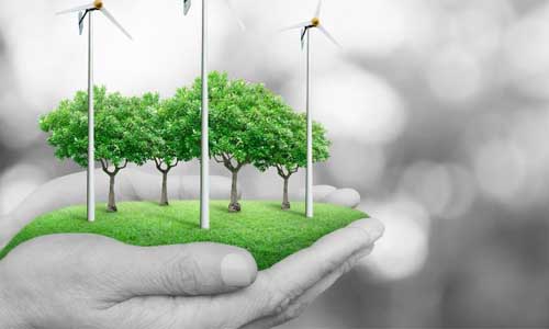 Transición ecológica y oportunidades para empresas